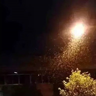 白蟻危害大，4-6月份進入其活躍期 防治白蟻不容忽視！